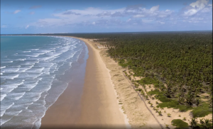 Sesc organiza passeio para o Festival do Maçunim, em Feliz Deserto